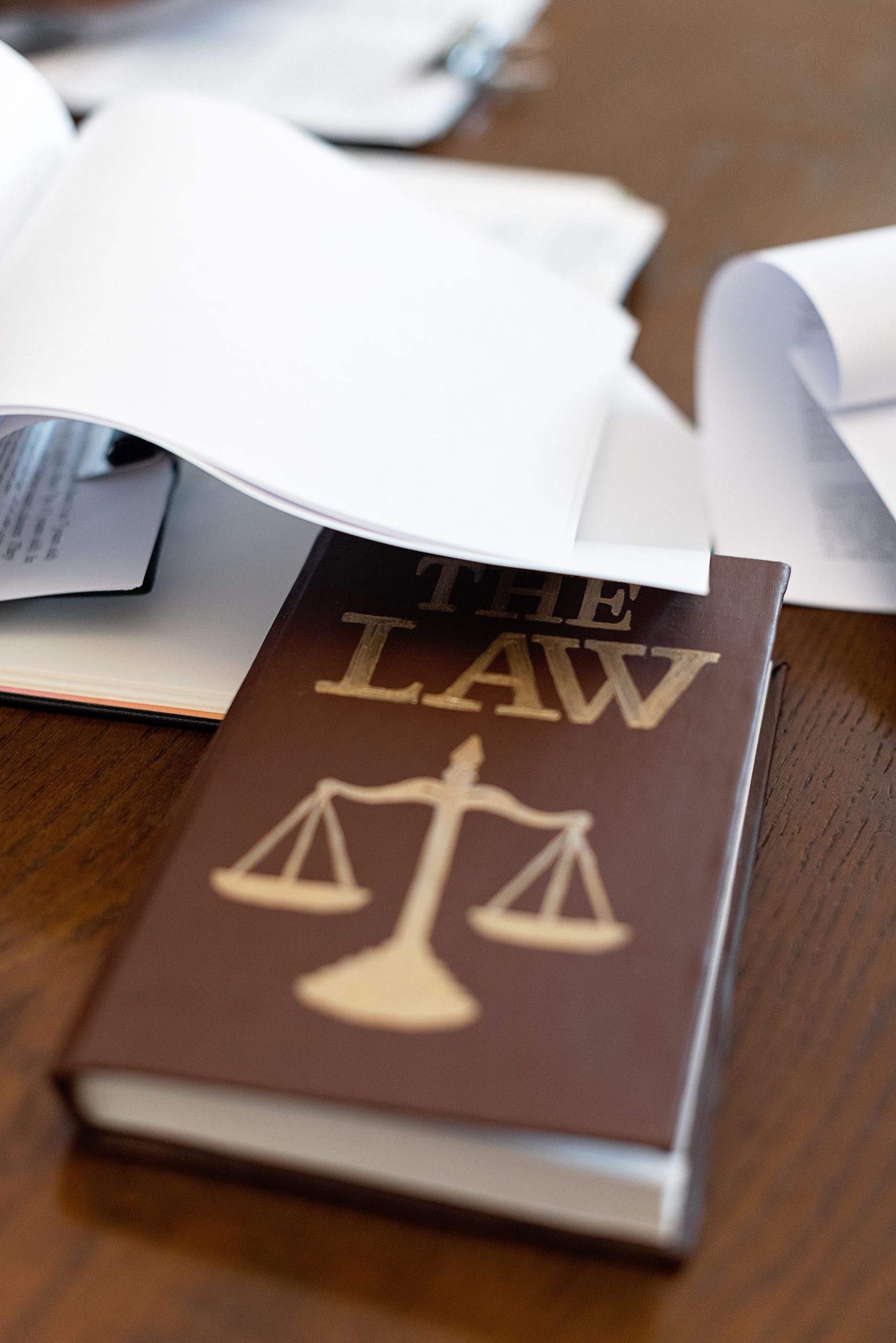 Brown booked labelled The Law
